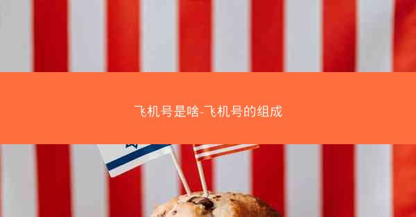 飞机号是啥-飞机号的组成