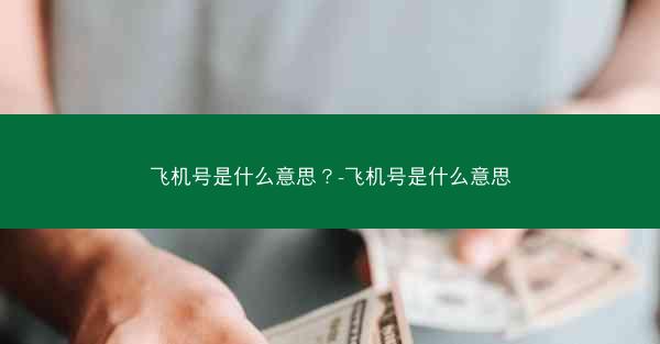 飞机号是什么意思？-飞机号是什么意思