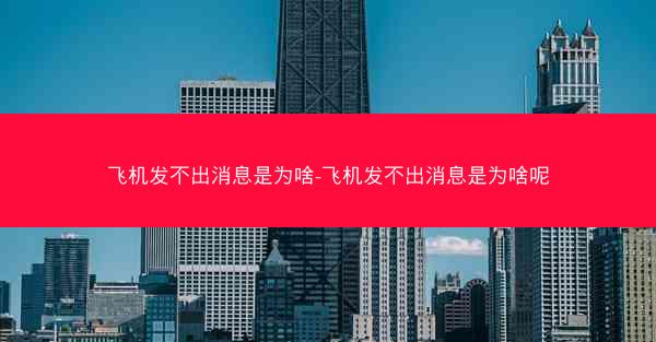 飞机发不出消息是为啥-飞机发不出消息是为啥呢