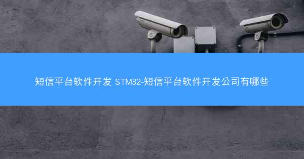 短信平台软件开发 STM32-短信平台软件开发公司有哪些