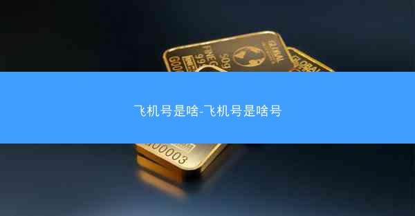 飞机号是啥-飞机号是啥号