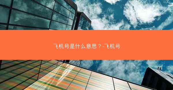 飞机号是什么意思？-飞机号