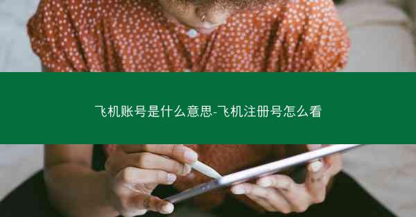 飞机账号是什么意思-飞机注册号怎么看