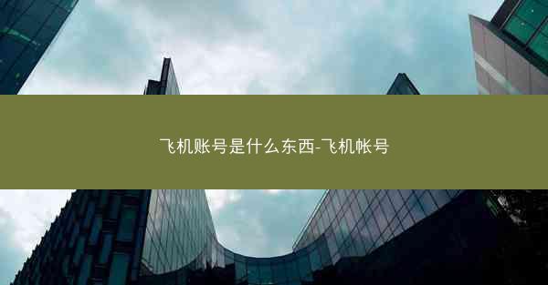 飞机账号是什么东西-飞机帐号
