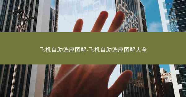 飞机自助选座图解-飞机自助选座图解大全