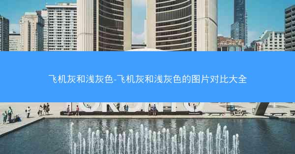 飞机灰和浅灰色-飞机灰和浅灰色的图片对比大全