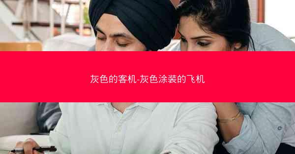灰色的客机-灰色涂装的飞机