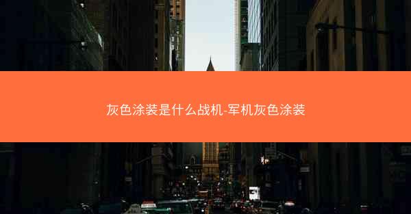 灰色涂装是什么战机-军机灰色涂装