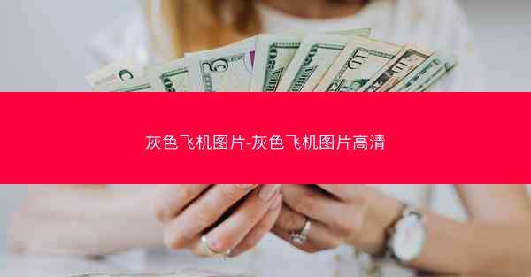 灰色飞机图片-灰色飞机图片高清