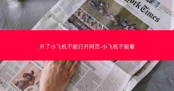 开了小飞机不能打开网页-小飞机不能看