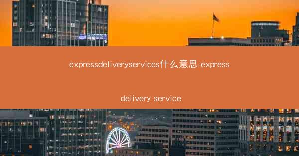 expressdeliveryservices什么意思-express delivery service