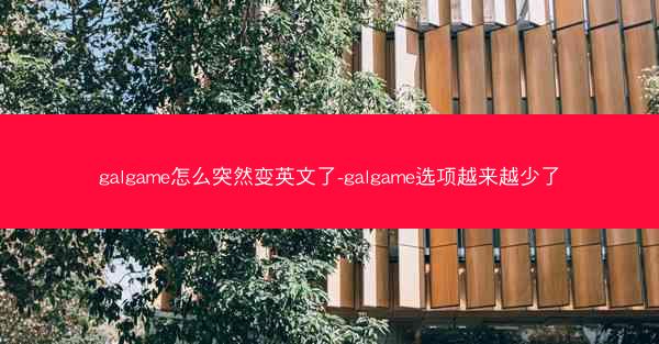 galgame怎么突然变英文了-galgame选项越来越少了