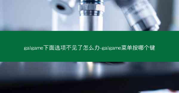 galgame下面选项不见了怎么办-galgame菜单按哪个键