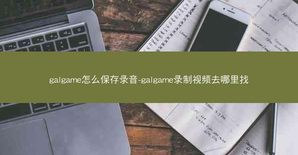 galgame怎么保存录音-galgame录制视频去哪里找