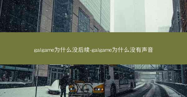 galgame为什么没后续-galgame为什么没有声音