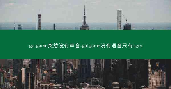 galgame突然没有声音-galgame没有语音只有bgm