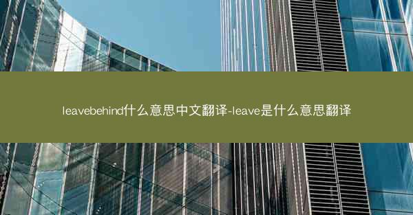 leavebehind什么意思中文翻译-leave是什么意思翻译