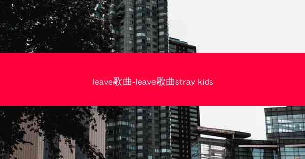 leave歌曲-leave歌曲stray kids