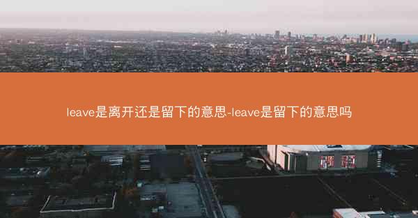 leave是离开还是留下的意思-leave是留下的意思吗