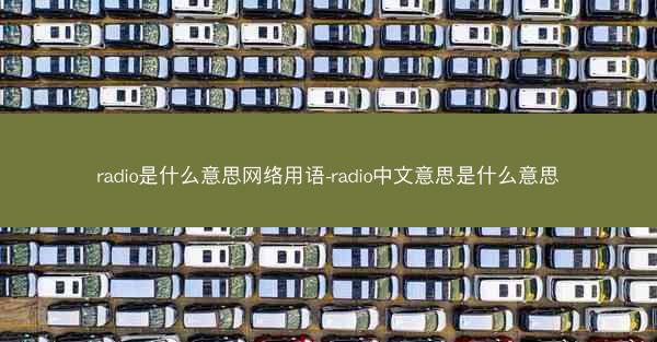 radio是什么意思网络用语-radio中文意思是什么意思
