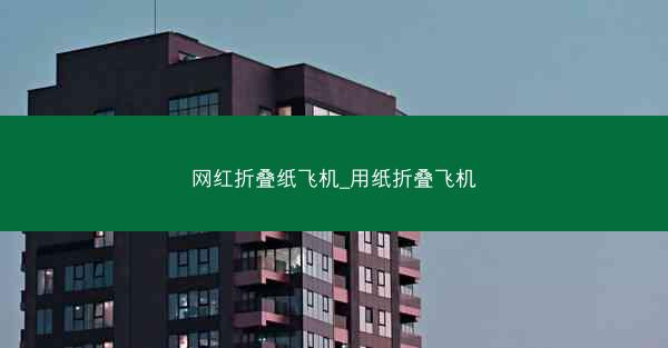 网红折叠纸飞机_用纸折叠飞机