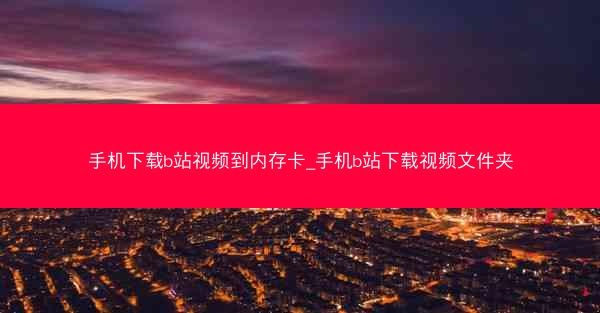 手机下载b站视频到内存卡_手机b站下载视频文件夹