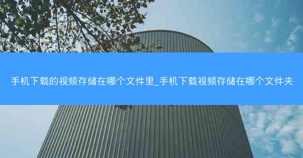 手机下载的视频存储在哪个文件里_手机下载视频存储在哪个文件夹
