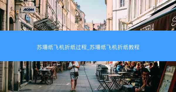 苏珊纸飞机折纸过程_苏珊纸飞机折纸教程