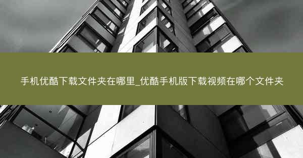手机优酷下载文件夹在哪里_优酷手机版下载视频在哪个文件夹