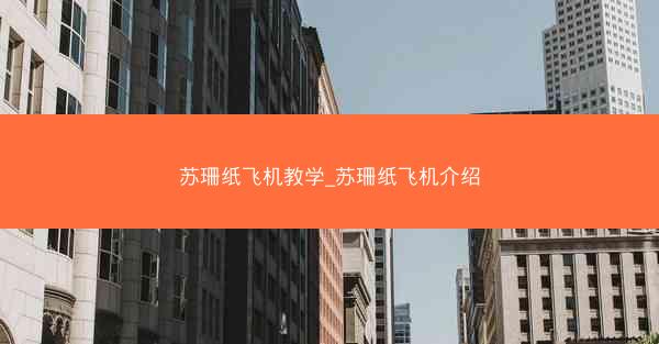 苏珊纸飞机教学_苏珊纸飞机介绍
