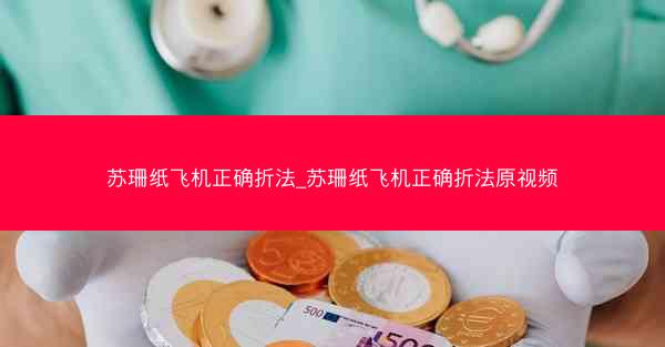 苏珊纸飞机正确折法_苏珊纸飞机正确折法原视频
