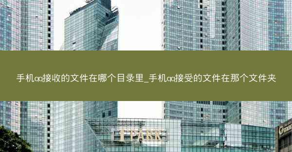 手机qq接收的文件在哪个目录里_手机qq接受的文件在那个文件夹