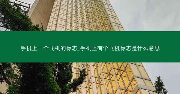 手机上一个飞机的标志_手机上有个飞机标志是什么意思