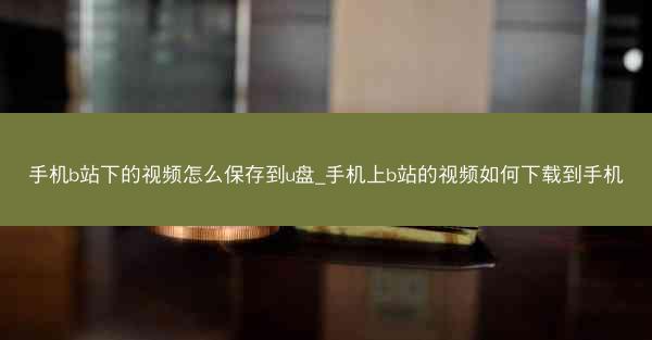手机b站下的视频怎么保存到u盘_手机上b站的视频如何下载到手机
