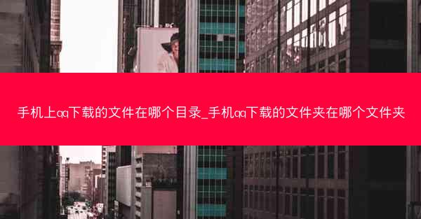 手机上qq下载的文件在哪个目录_手机qq下载的文件夹在哪个文件夹
