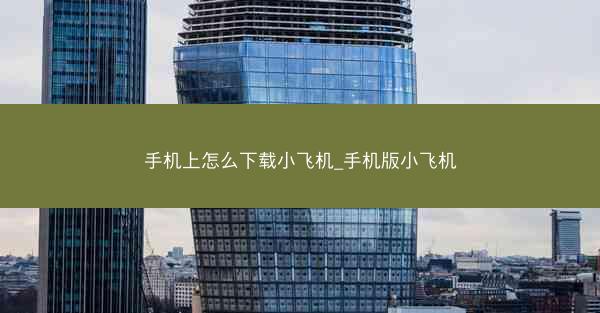 手机上怎么下载小飞机_手机版小飞机