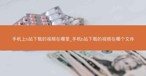 手机上b站下载的视频在哪里_手机b站下载的视频在哪个文件