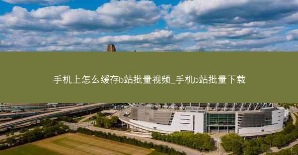 手机上怎么缓存b站批量视频_手机b站批量下载