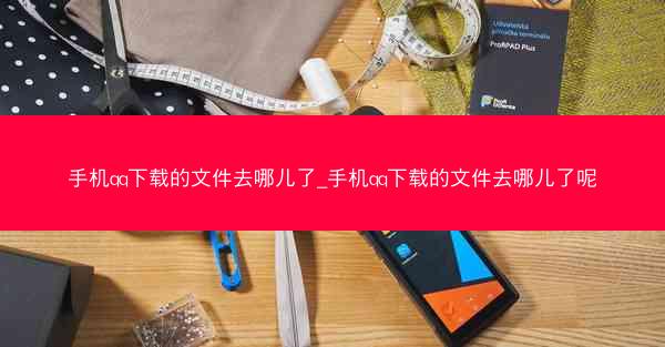 手机qq下载的文件去哪儿了_手机qq下载的文件去哪儿了呢