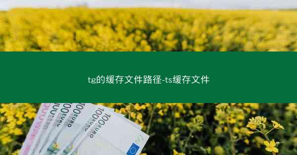 tg的缓存文件路径-ts缓存文件