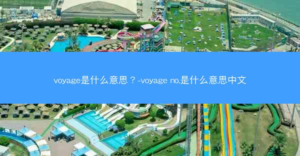 voyage是什么意思？-voyage no.是什么意思中文