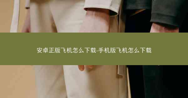 安卓正版飞机怎么下载-手机版飞机怎么下载