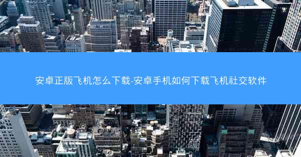 安卓正版飞机怎么下载-安卓手机如何下载飞机社交软件