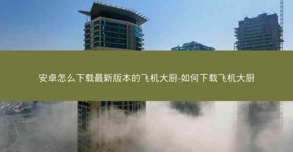 安卓怎么下载最新版本的飞机大厨-如何下载飞机大厨