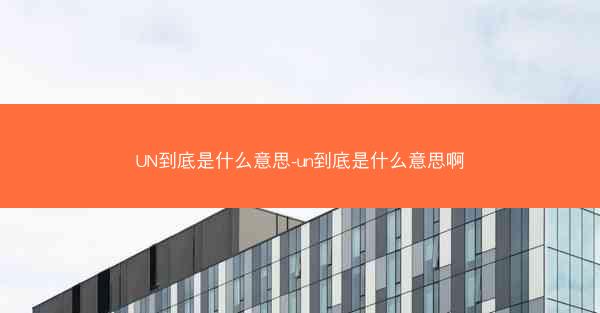 UN到底是什么意思-un到底是什么意思啊