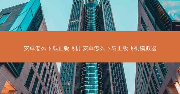 安卓怎么下载正版飞机-安卓怎么下载正版飞机模拟器